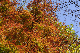 image0415