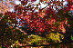 image0419