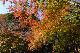 image0421