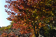 image0422