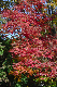 image0424
