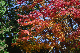 image0425