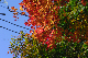 image0426