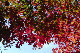 image0430