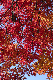 image0431