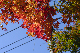 image0432