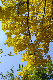 image0433