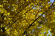 image0434