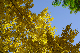 image0435