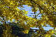 image0436