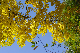 image0437