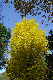 image0438