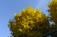 image0439