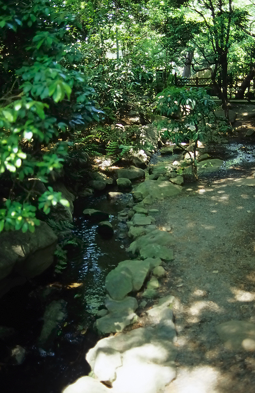 image0066
