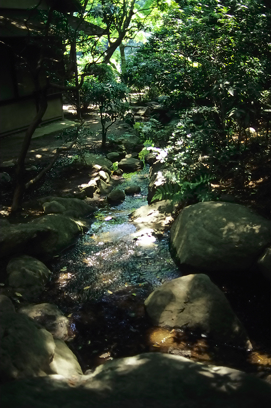 image0067