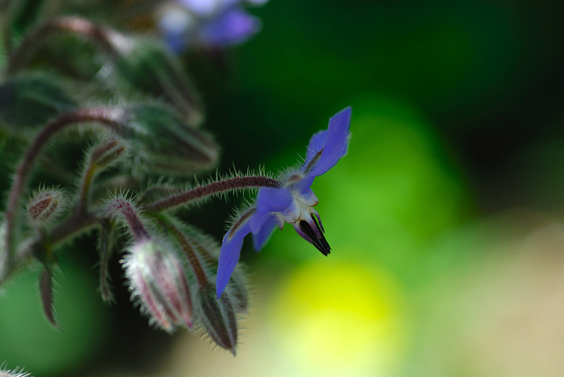 image0080