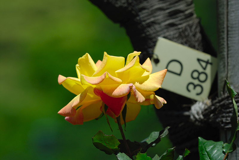 image0093