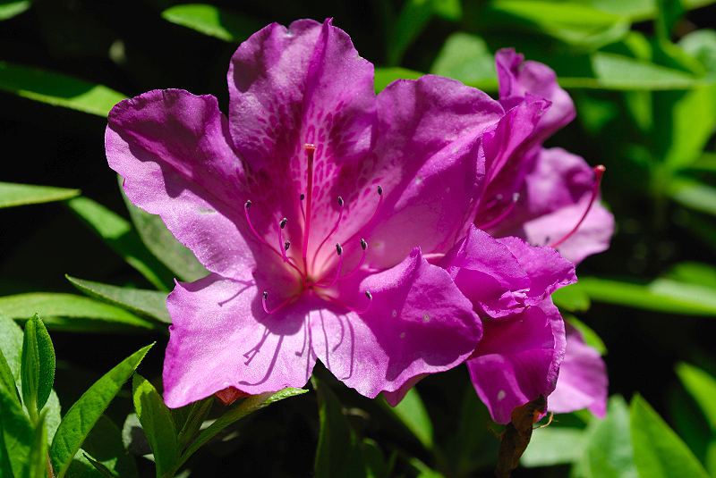 image0100