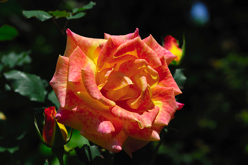image0113