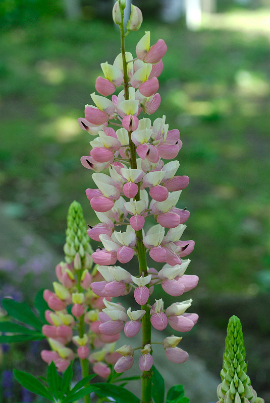 image0131