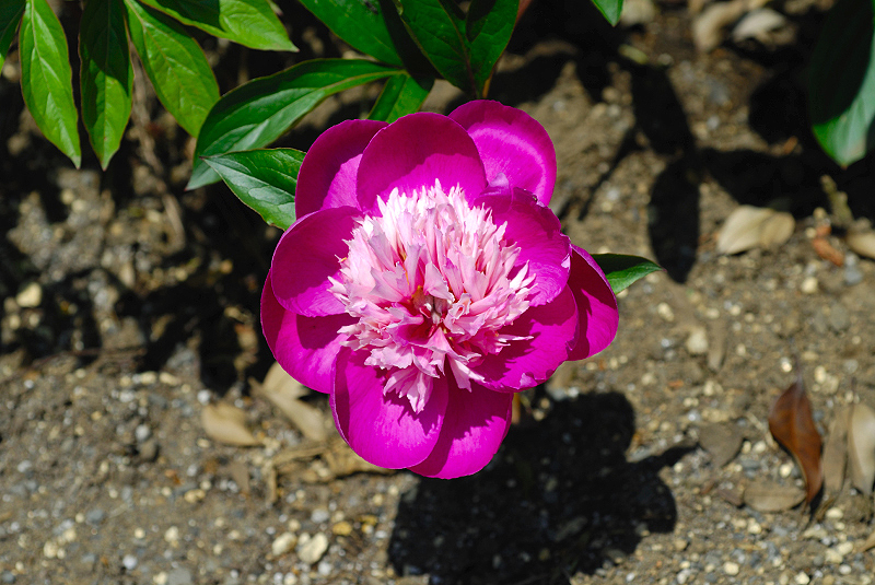 image0134