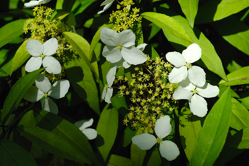 image0144