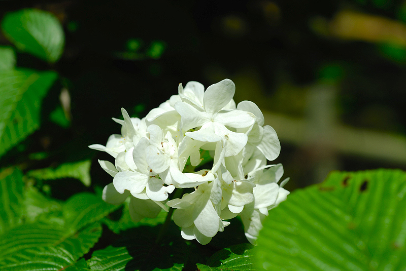image0149