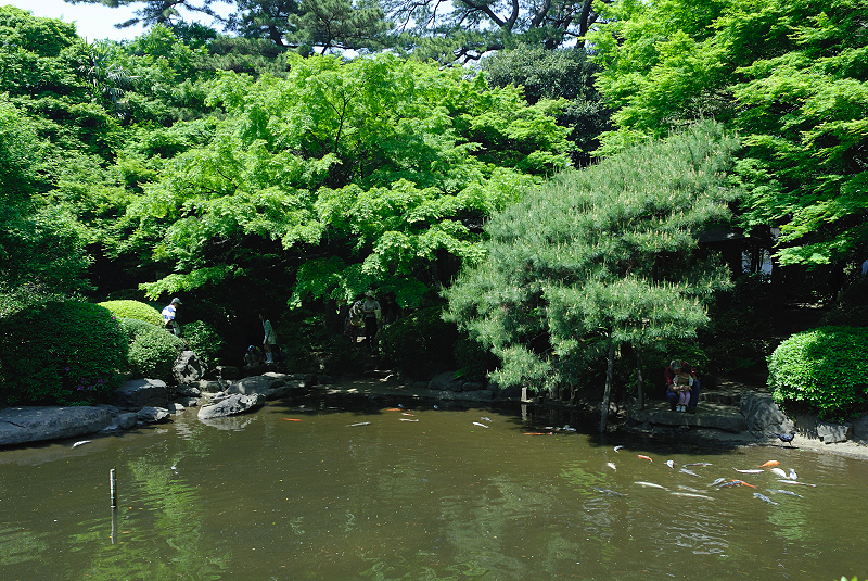 image0151