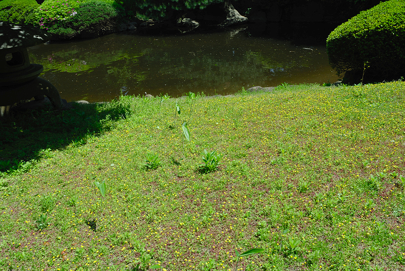 image0159