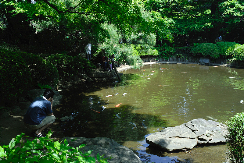 image0160