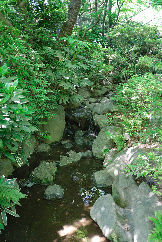 image0161