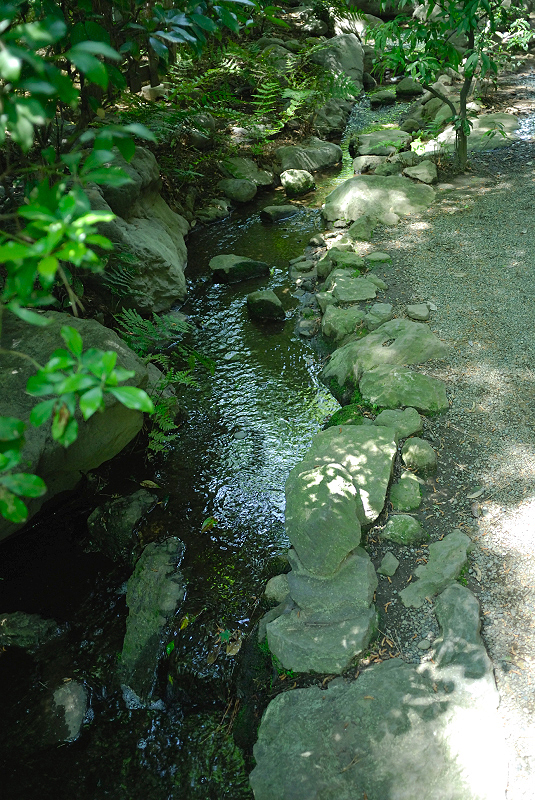image0163