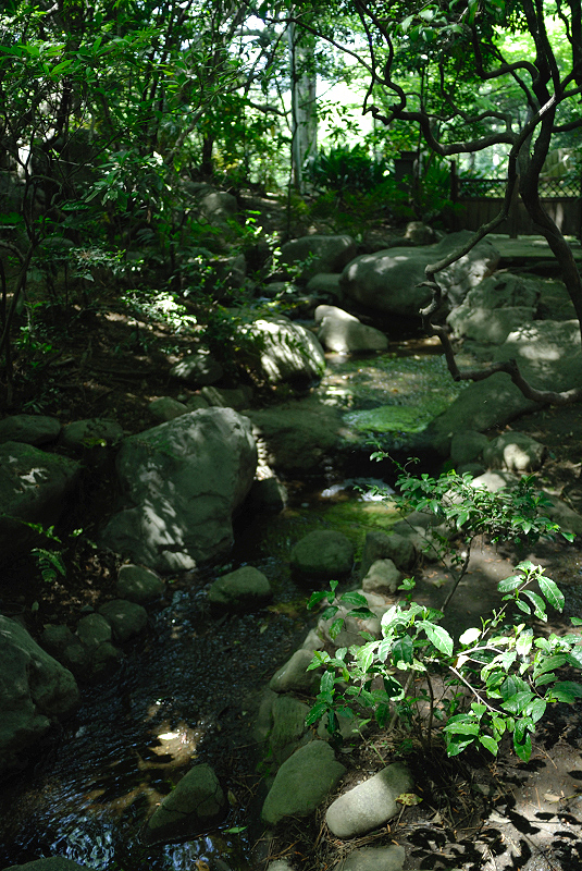 image0164