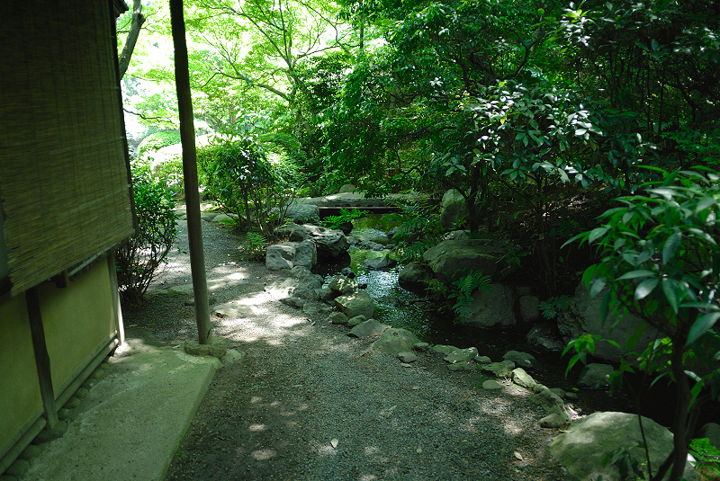image0165