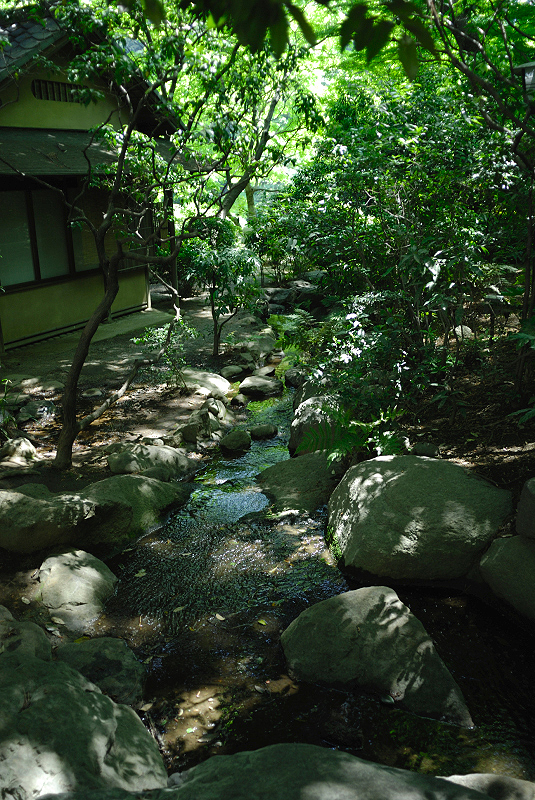 image0166