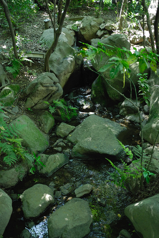 image0167