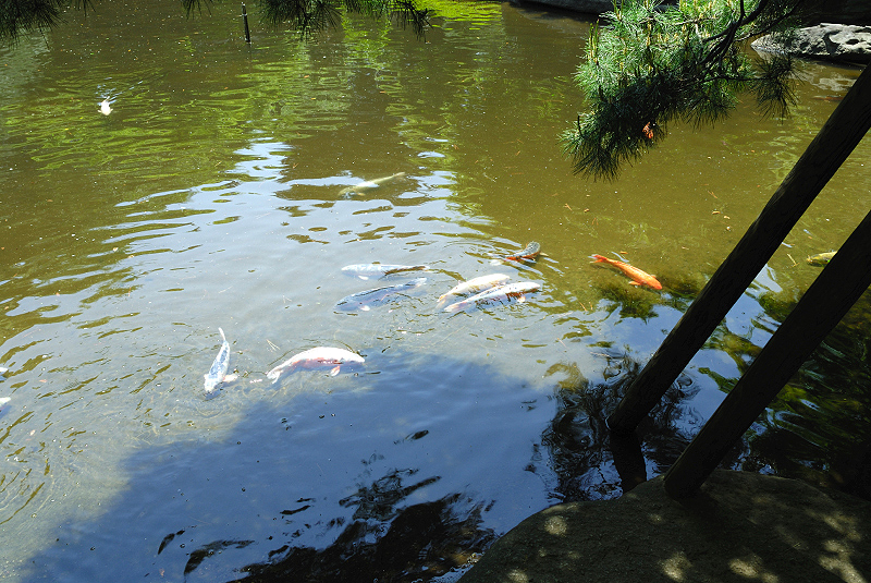 image0169