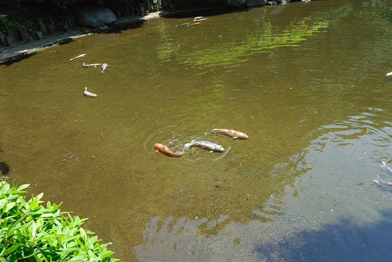 image0170