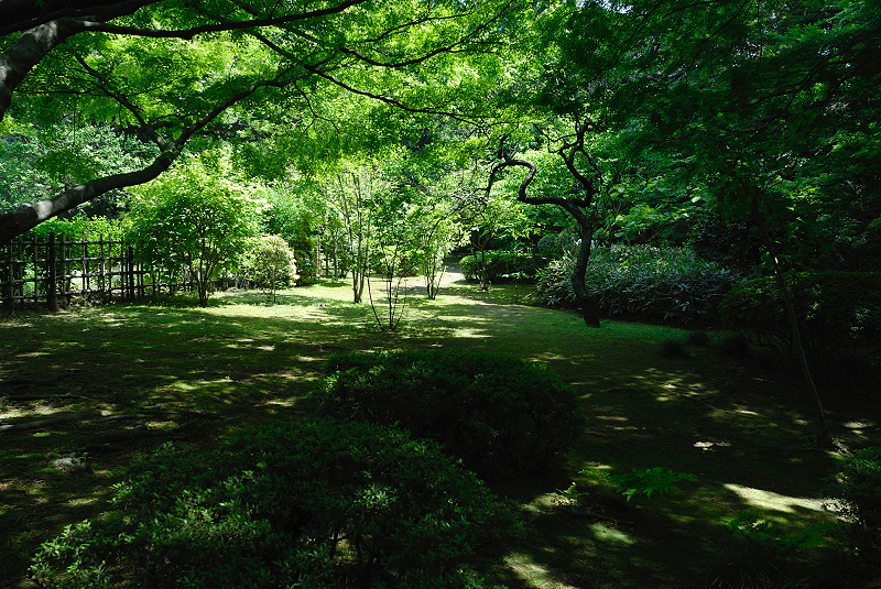 image0171