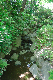 image0161