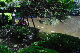 image0162
