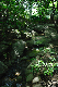 image0164