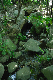 image0167