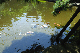 image0169