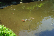 image0170