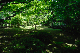 image0171