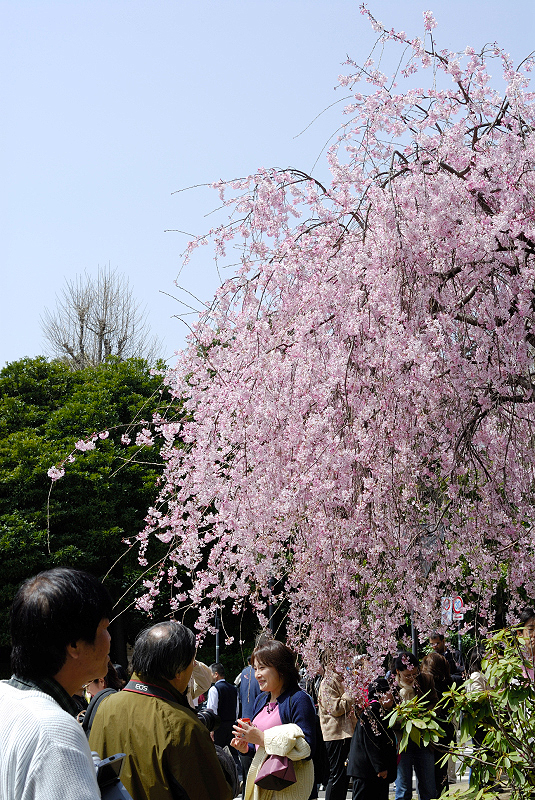 image0101