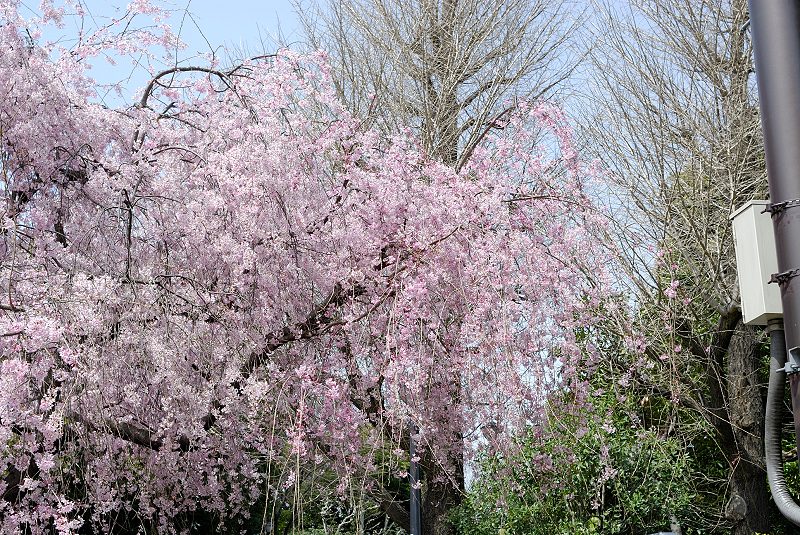image0102