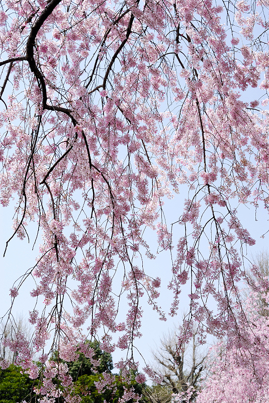 image0104