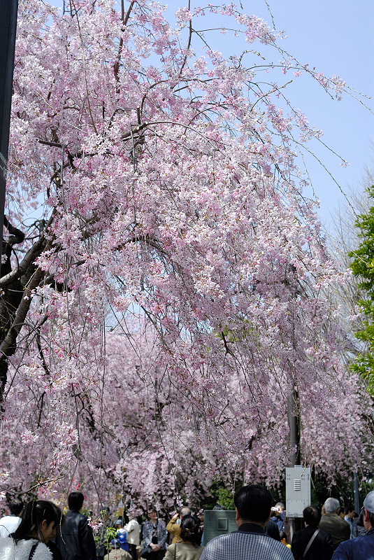 image0109